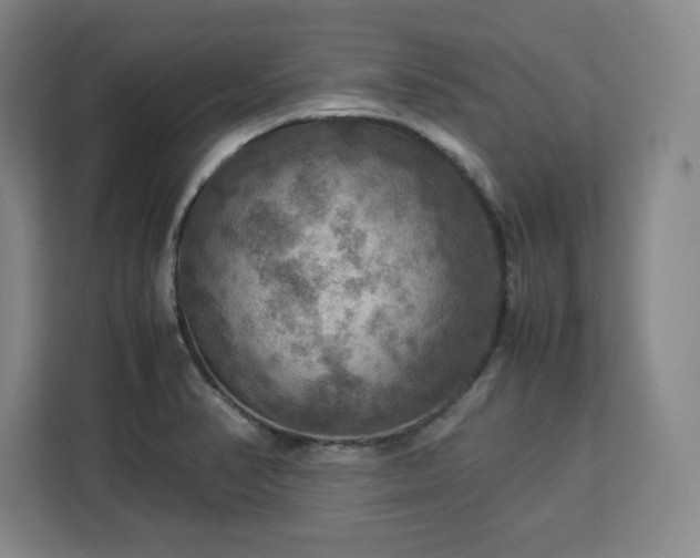 X0000112951374200908311500