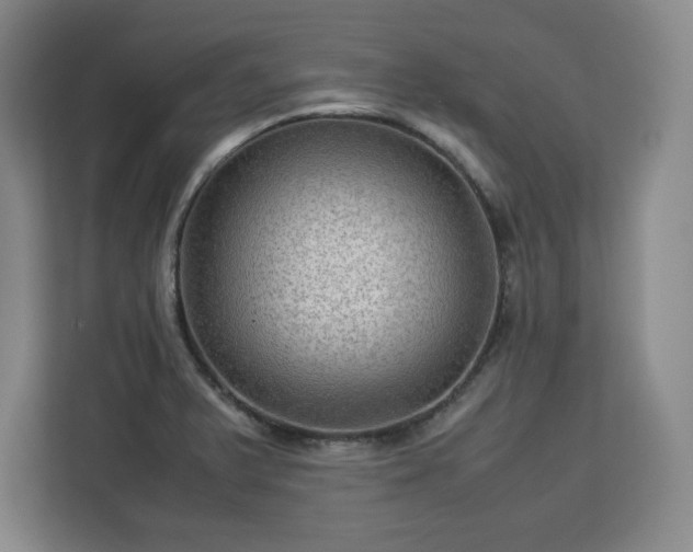 X0000112951375200908311500