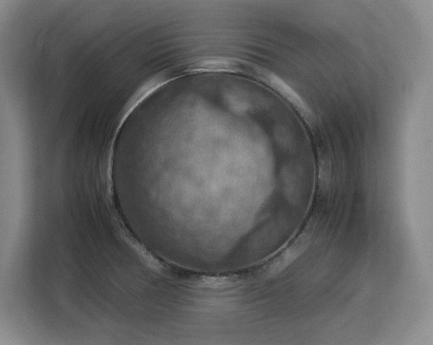 X0000112951378200908311500