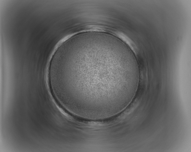 X0000112951379200908311500