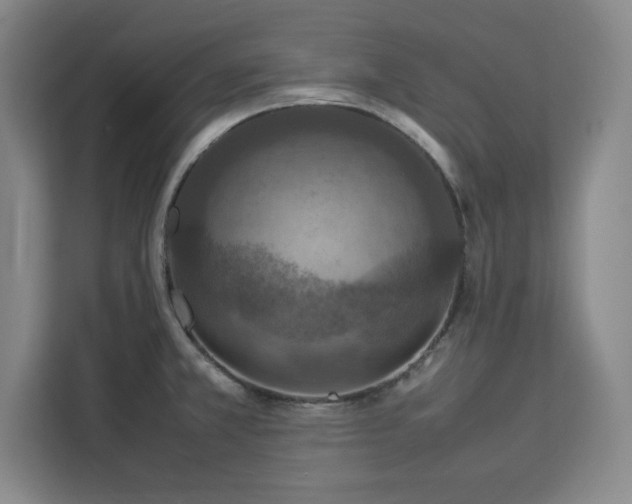 X0000112951381200908311500