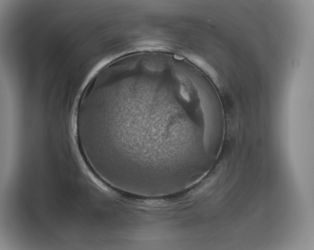 X0000112951383200908311500