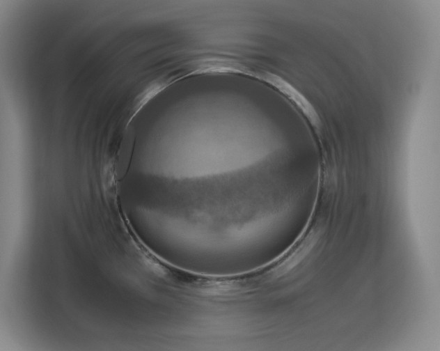 X0000112951385200908311500