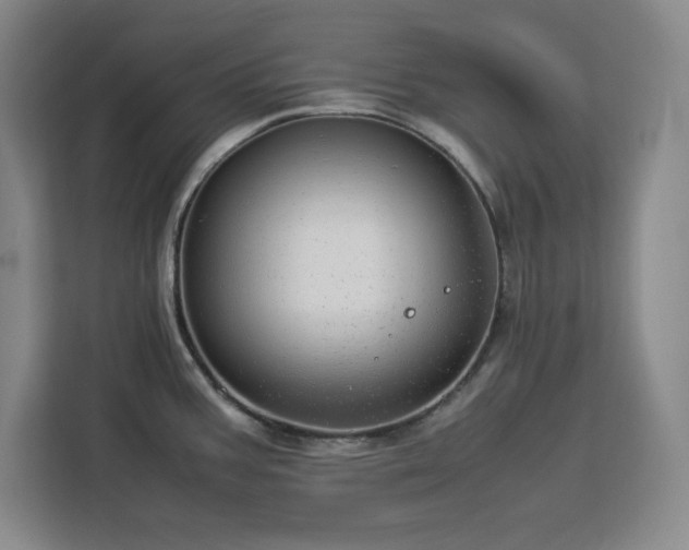 X0000112951387200908311500