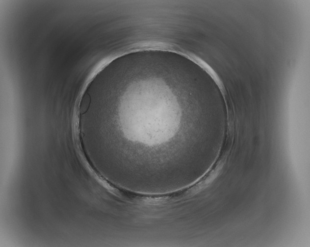 X0000112951389200908311500