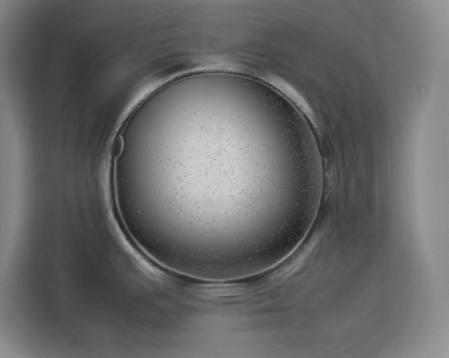 X0000112951391200908311500