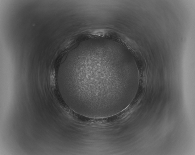 X0000112951394200908311500