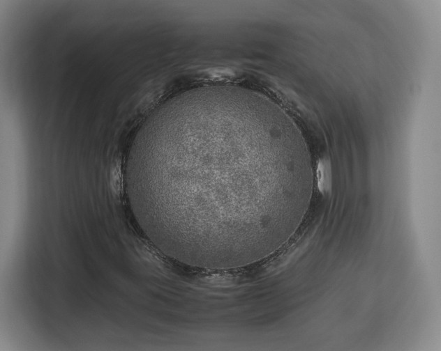 X0000112951395200908311500