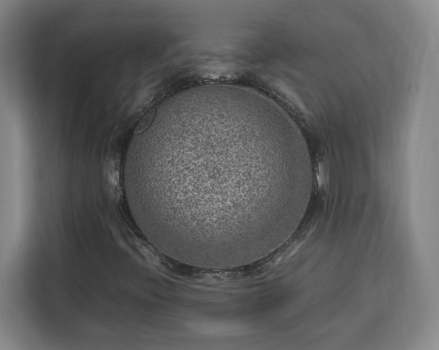 X0000112951396200908311500