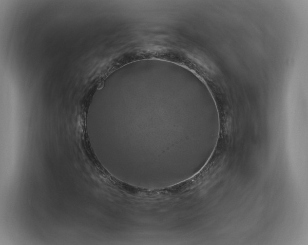 X0000112951397200908311500