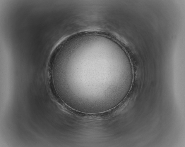 X0000112951400200908311500