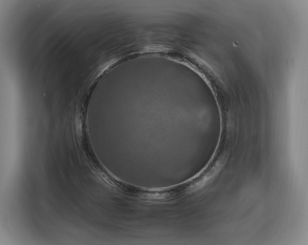 X0000112951401200908311500