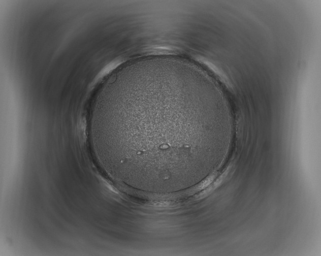 X0000112951402200908311500