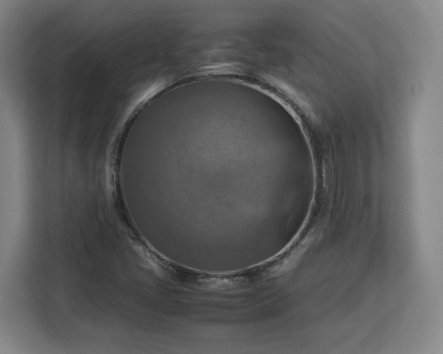 X0000112951405200908311500