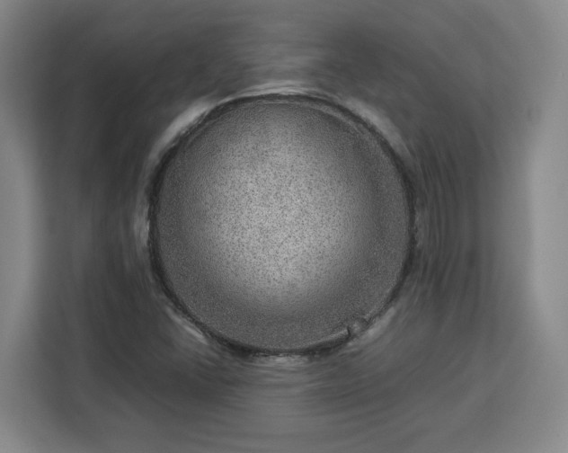 X0000112951406200908311500