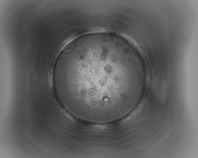 X0000112951409200908311500