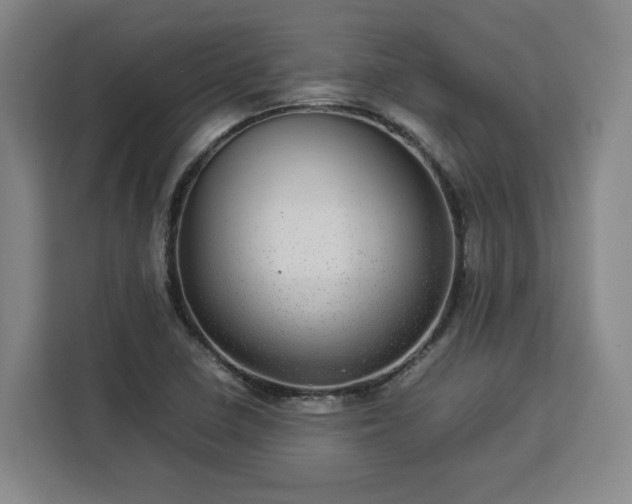 X0000112951410200908311500