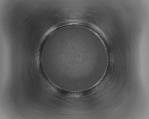 X0000112951411200908311500