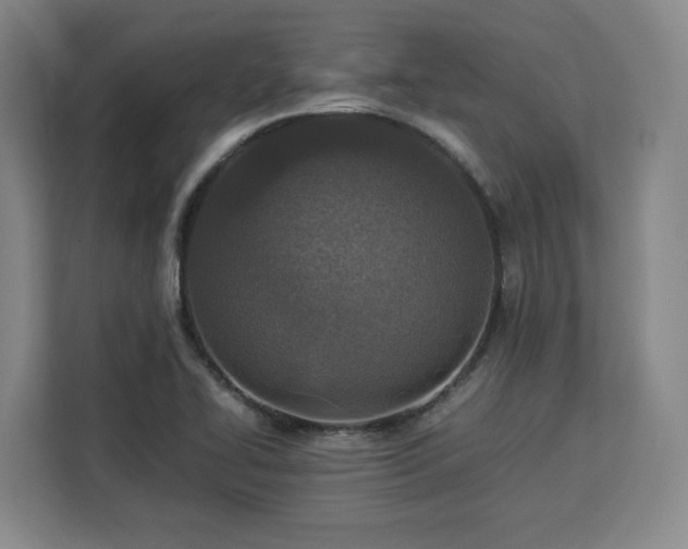 X0000112951414200908311500