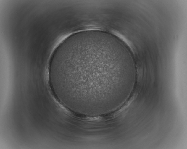 X0000112951415200908311500