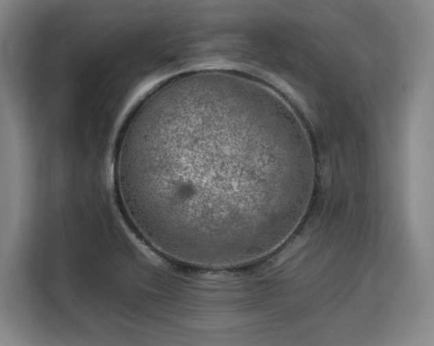 X0000112951416200908311500