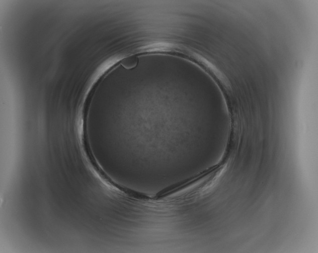 X0000112951418200908311500