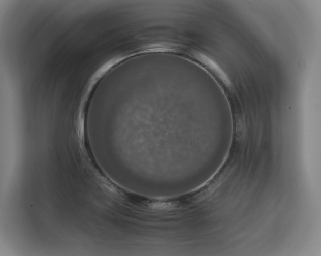 X0000112951419200908311500