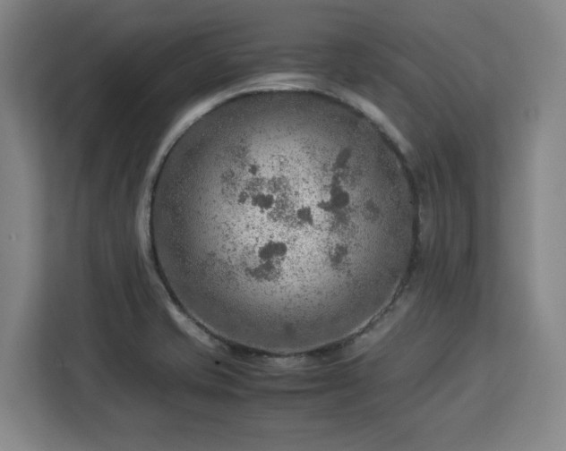 X0000112951421200908311500