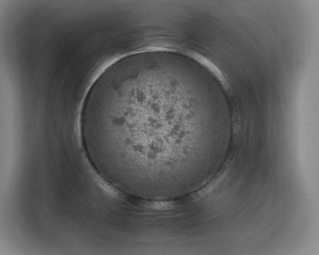 X0000112951423200908311500