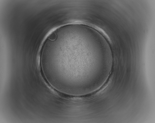 X0000112951424200908311500