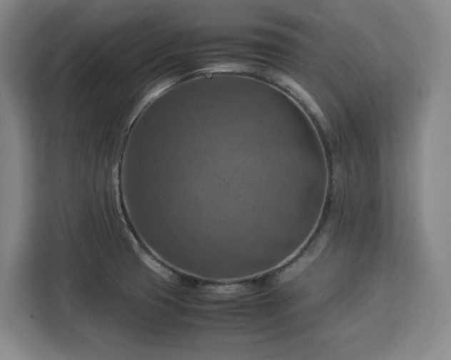 X0000112951425200908311500