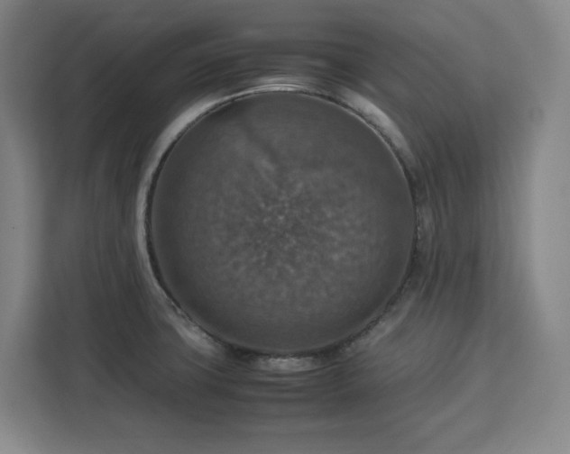 X0000112951427200908311500