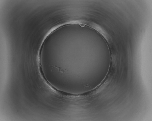 X0000112951428200908311500