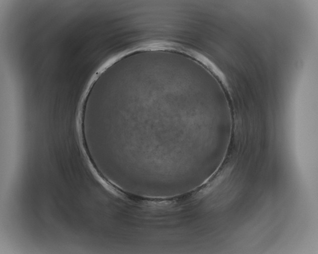 X0000112951429200908311500