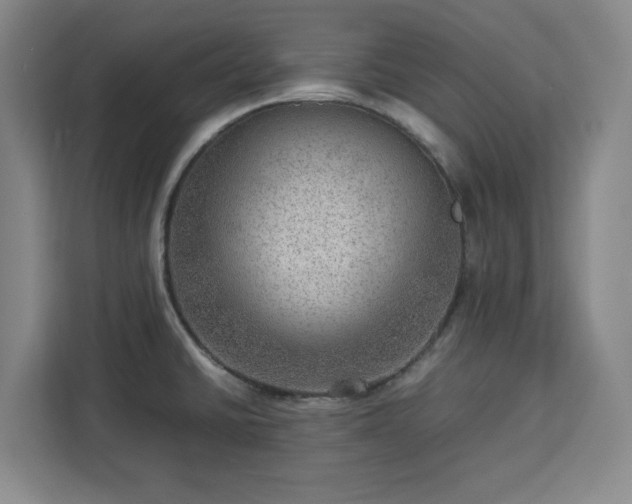 X0000112951430200908311500