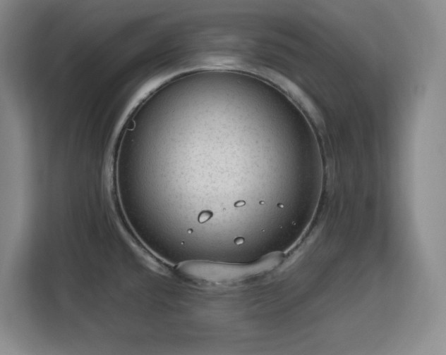 X0000112951432200908311500