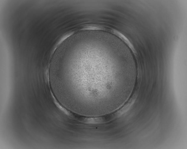 X0000112951433200908311500