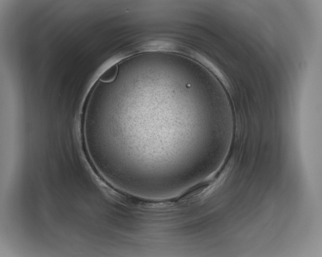 X0000112951434200908311500