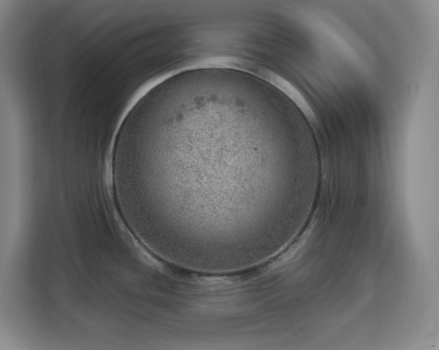 X0000112951436200908311500