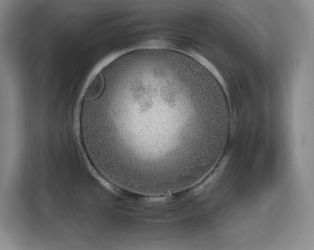 X0000112951437200908311500