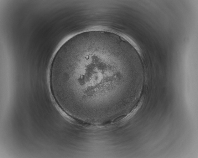 X0000112951438200908311500