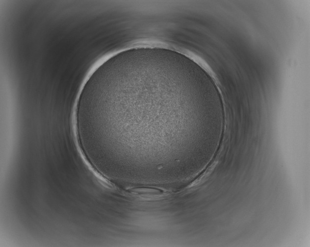 X0000112951440200908311500