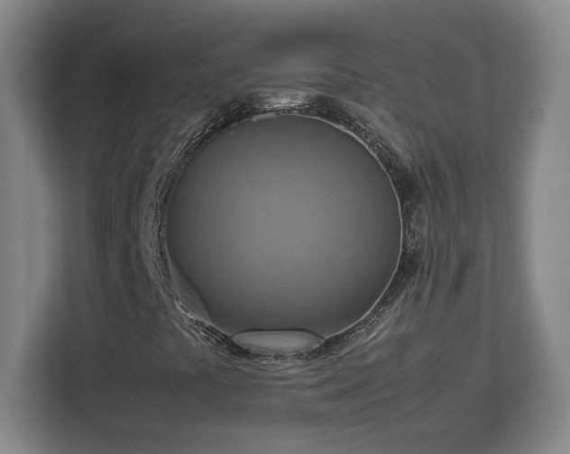 X0000112951441200908311500