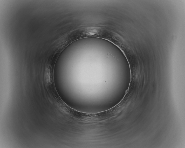 X0000112951442200908311500