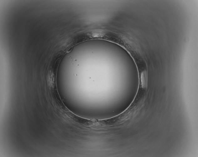 X0000112951443200908311500