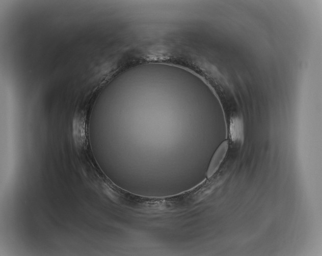 X0000112951444200908311500