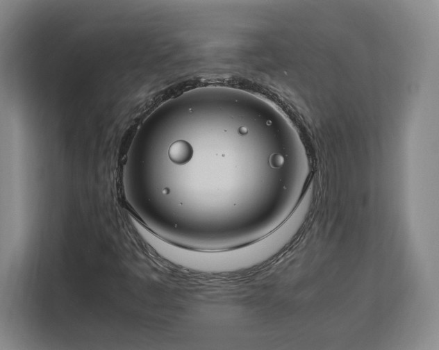 X0000112951445200908311500