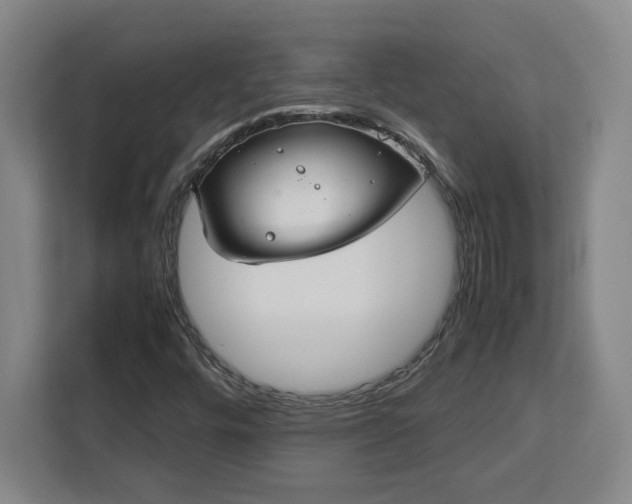 X0000112951448200908311459