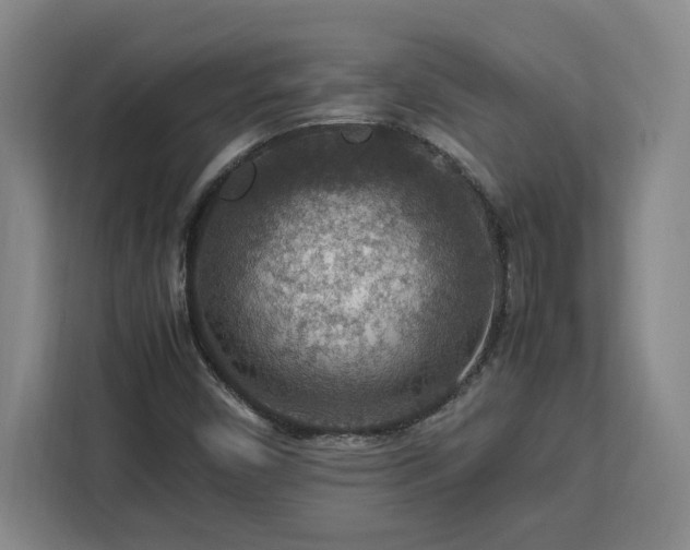 X0000112951450200908311459