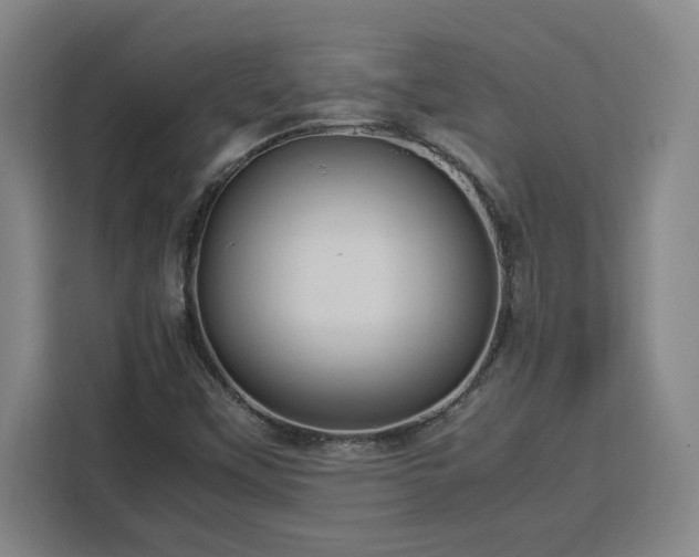 X0000112951451200908311459